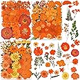 34 Types 144PCS Orange Dried Pressed Flowers with Butterfly Stickers - Youthbro Real Nature Flowers Set for Resin DIY Jewelry Candle Soap Vase Making Nail Card Scrapbook Art Craft Floral Decors