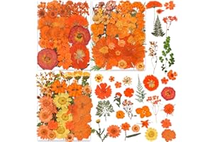 34 Types 144PCS Orange Dried Pressed Flowers with Butterfly Stickers - Youthbro Real Nature Flowers Set for Resin DIY Jewelry Candle Soap Vase Making Nail Card Scrapbook Art Craft Floral Decors