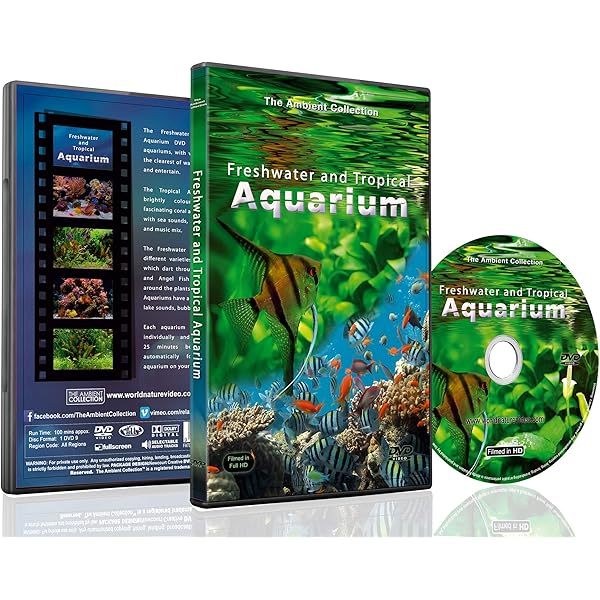 その他 Exotic Saltwater Aquarium Sd [DVD] Amazon.com: Exotic Saltwater Aquarium : Artist Not Provided
