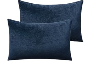 NTBAY 2 Pack Zippered Velvet Queen Pillowcases, Super Soft and Cozy Luxury Fuzzy Flannel Pillow Cases with Zipper, 20x30 Inches, Navy Blue