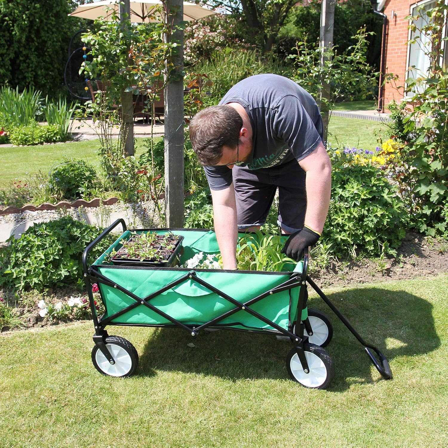 camping pull along trolley