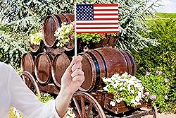 50 Pack USA America Flags on Stick Flags,Small Mini