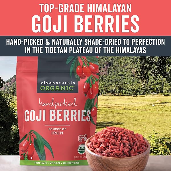 VIVA NATURALS ORGANIC DRIED GOJI BERRIES, 1 LB (454 G) – NON-GMO, VEGAN WOLFBERRIES, PERFECT FOR GOJI BERRY TEA, SMOOTHIES, BAKING & SNACKING