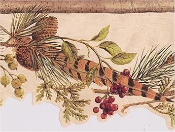 Pine Cones Feather Gooseberry Red Currant On Vine Coconut White Wallpaper Border Retro Design Roll 15 X 6 25 Amazon Com