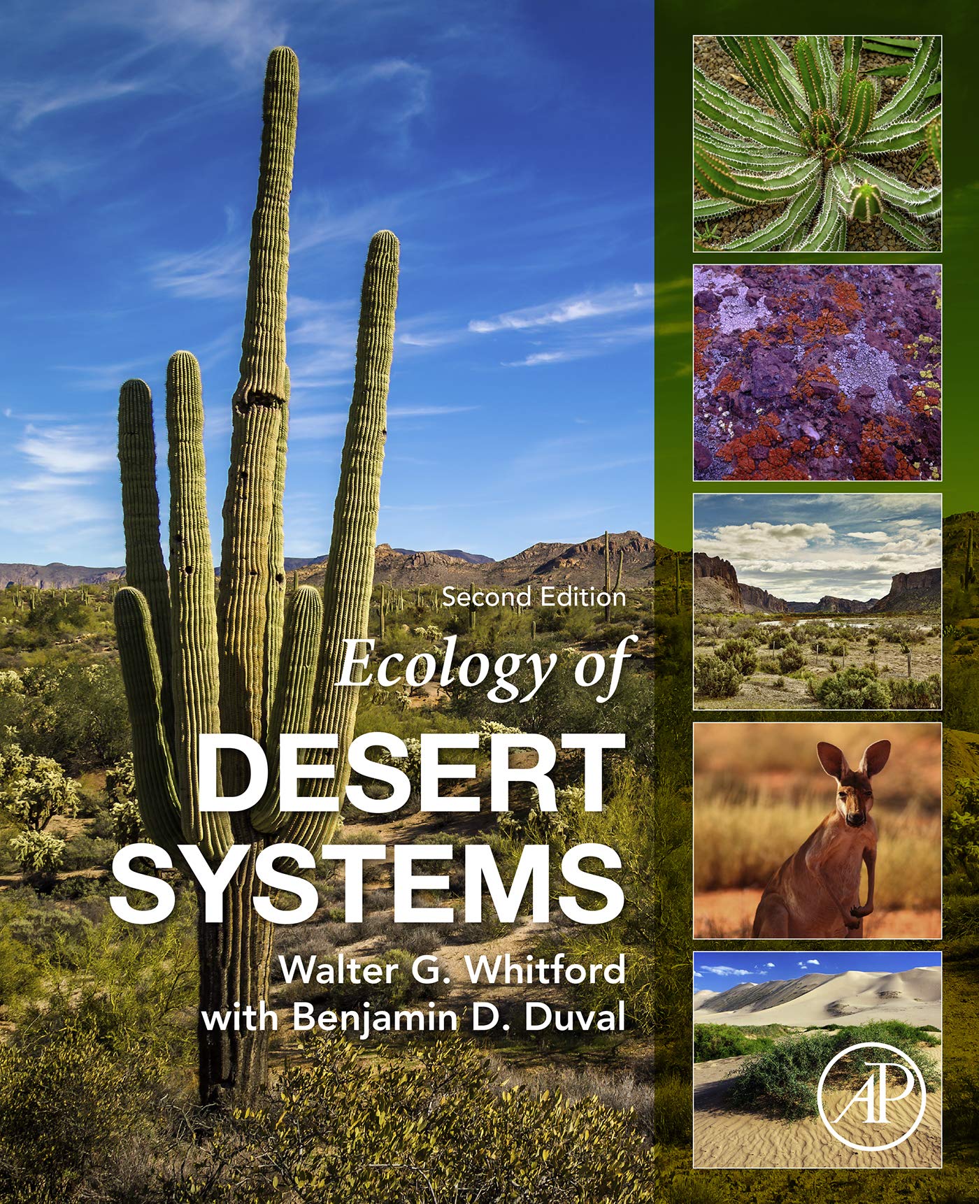 Ecology Of Desert Systems 2 Whitford Walter G Duval Benjamin D Amazon Com Ecology Of Desert Systems 2 Whitford Walter G Duval Benjamin D Amazon Com