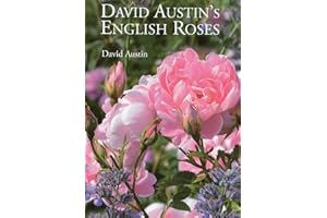 David Austin's English Roses