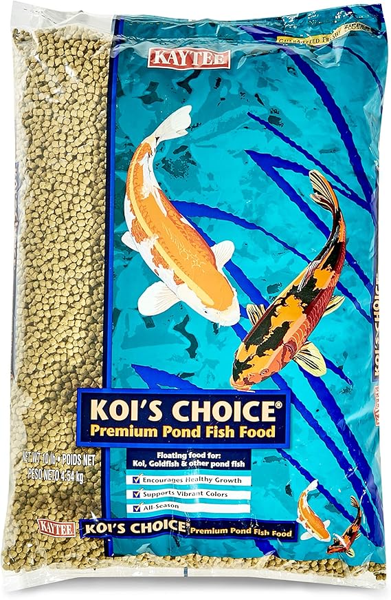 What do Koi Fish Eat? Best Koi Food Options Aquarium Friend
