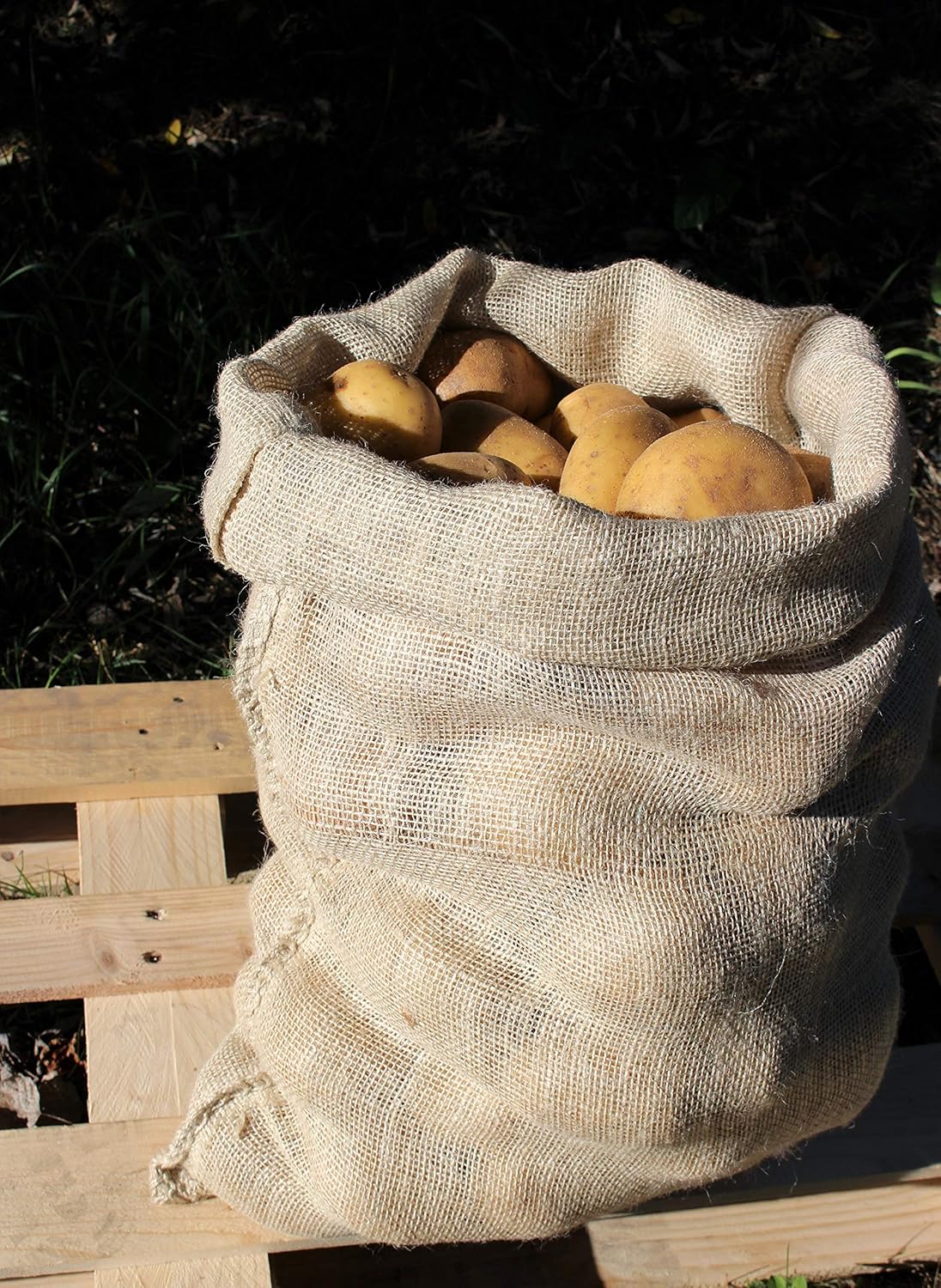 Agralan 25kg Hessian Jute Vegetable Potato Storage Sack Many Pack
