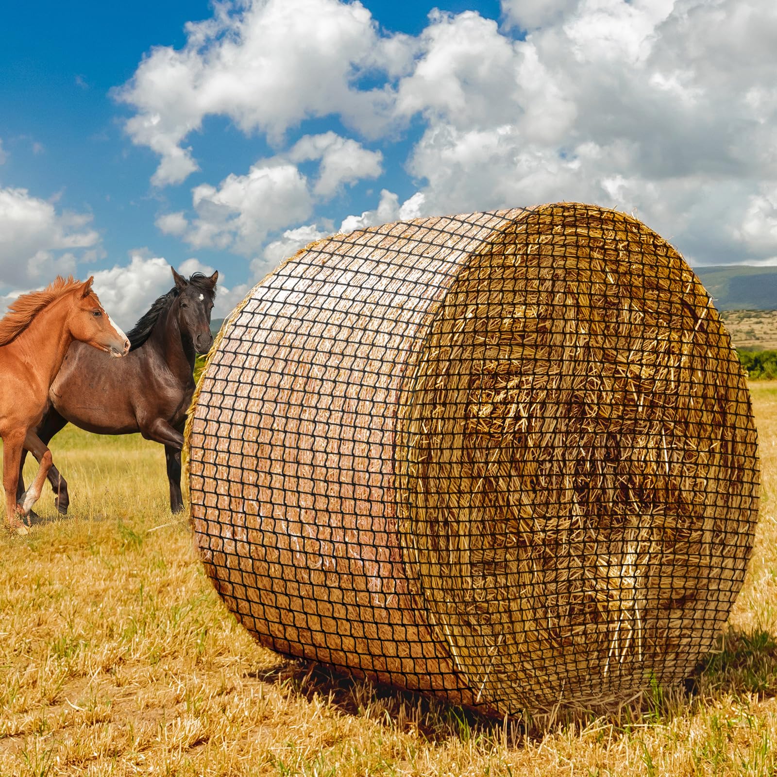 Photo 1 of MIYABALA Round Bale Hay Net for Horses,5x5 Feet Knotless Slow Feed Hay Net Feeder for Livestocks,Heavy Gauge Large Hay Net for Horses, Cattle, Sheep in Farms and Pastures
