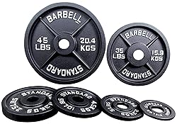 Sporzon! Cast Iron Plate Weight Plate for Strength
