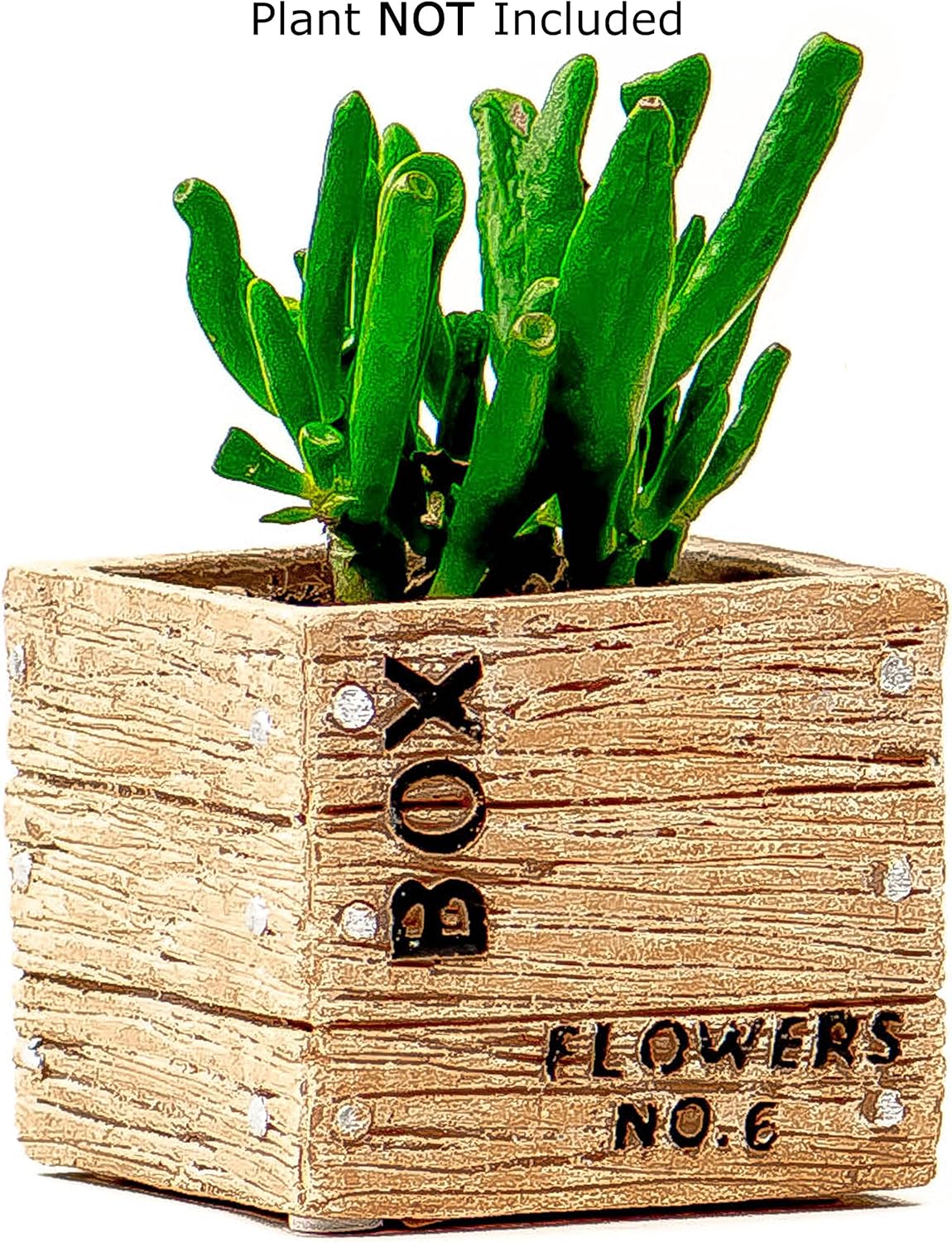 Succulent Planter / Cactus Planter 3.25 Inch Tan Cement