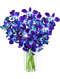 KaBloom Exotic Blue Sapphire Orchid Bouquet of 10 Fresh Blue Dendrobium Orchids from Thailand with Vase