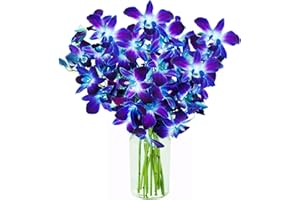 KaBloom Flowers - Blue Sapphire Orchid Bouquet of 10 Fresh Blue Orchid with Vase - Gift for Birthday, Sympathy, Anniversary, Get Well, Thank You, Valentine, Mother’s Day Fresh Flowers