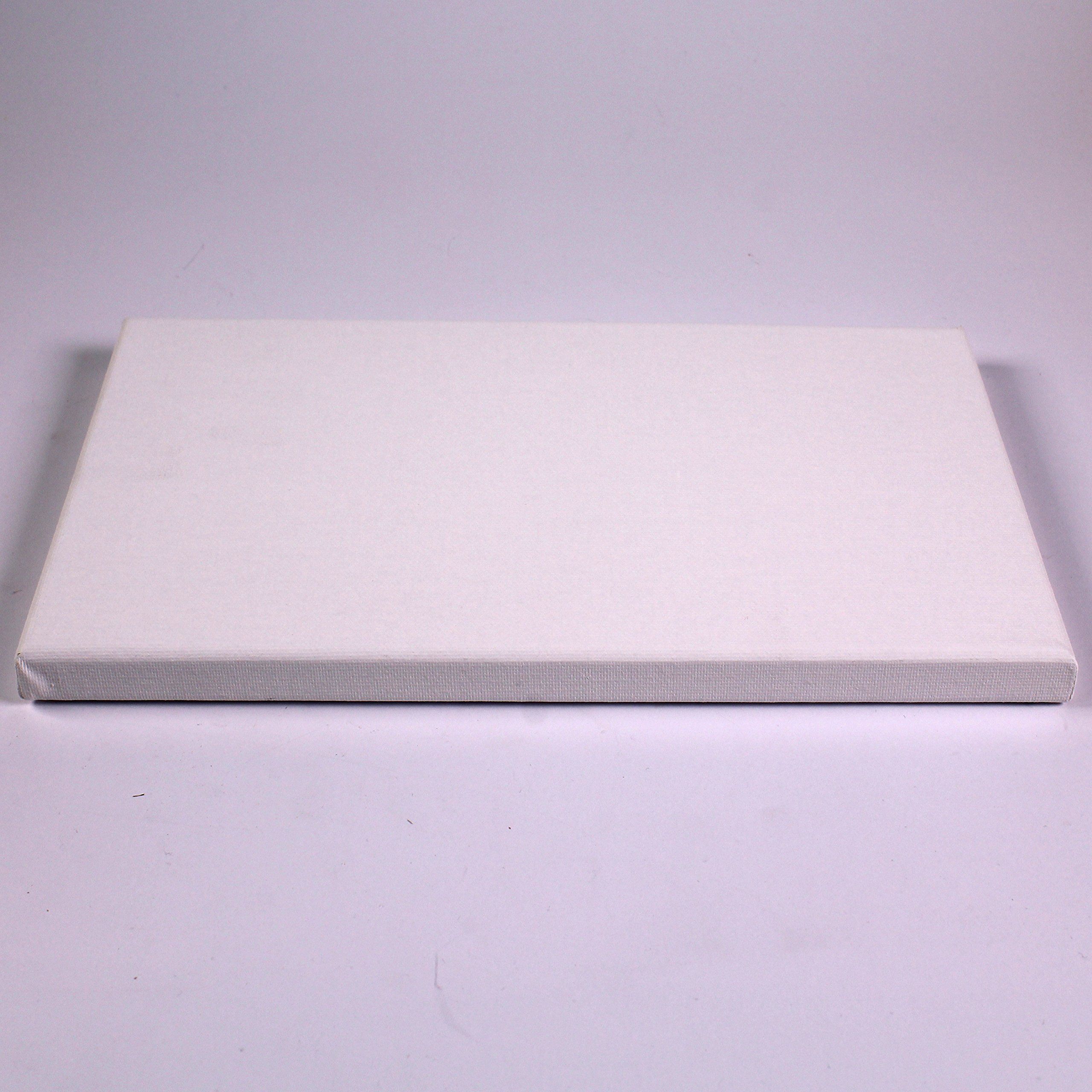 White Stretched 3D Wall Art Personalised Canvas for Kids Painting & Crafts 25cm x 30cm Pack of 10 by BCreative ®