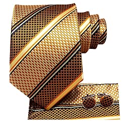Hi-Tie 3 Pcs Gift Box Mens Tie Set Necktie with