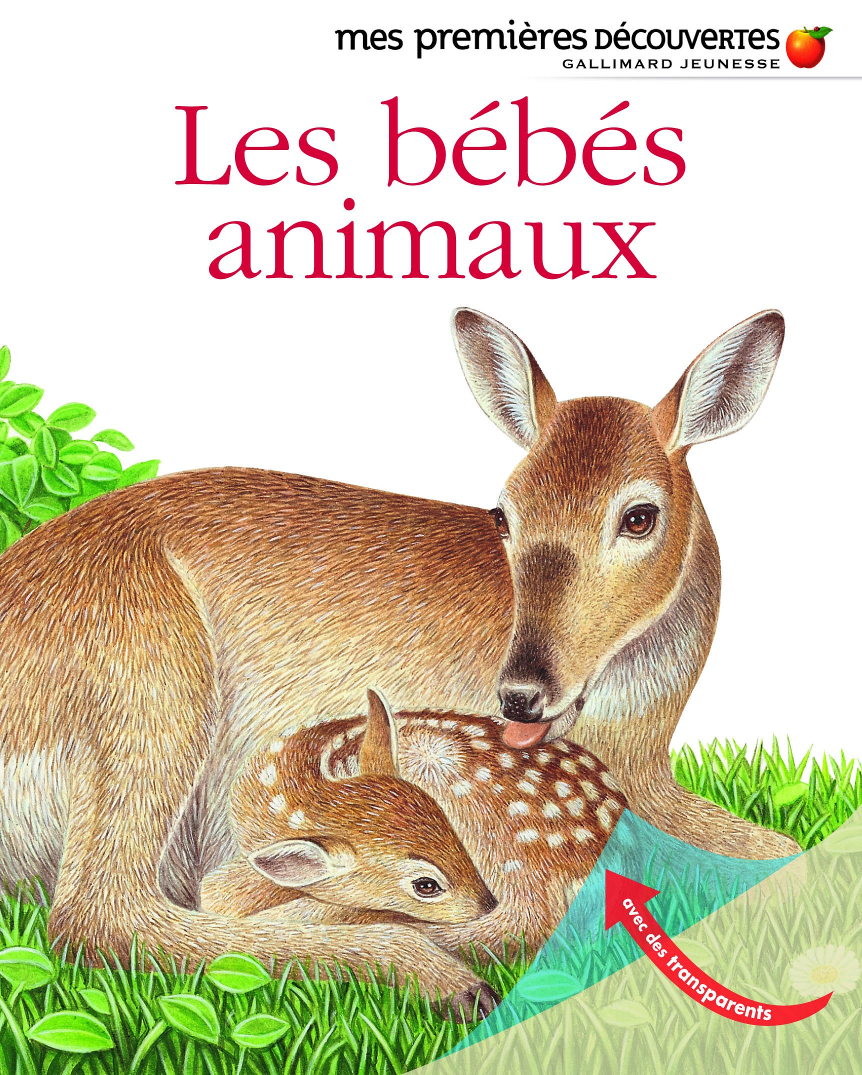 Les Bebes Animaux Amazon Co Uk Books