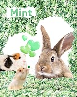 70L Hamster Bedding 99% Dust Free Odor Control Mint view 6