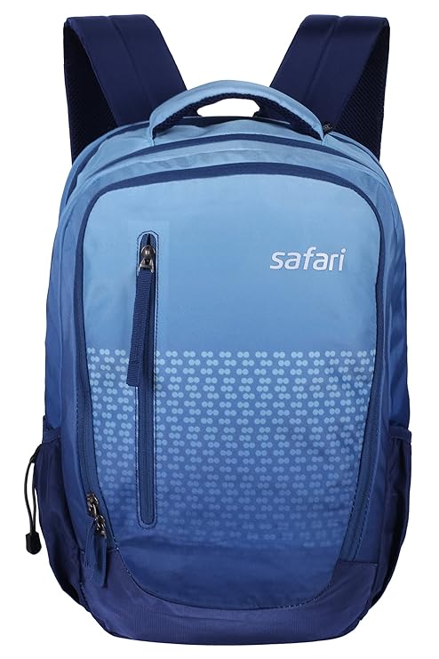 blue ombre backpack