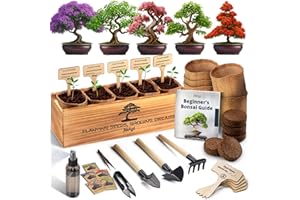 AVERGO Bonsai Tree Kit for Beginners – 5X Unique Japanese Bonzai Trees | Complete Indoor Bonsai Starter Kit for Growing Bonsai Plants with Tools & Planters – DIY Gardening Gifts for Women & Men