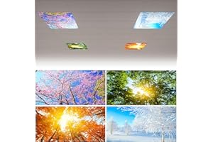 ICONIC INNOVATION INC 4 Pack Fluorescent Light Covers for Ceiling Lights - Magnetic Fluorescent Light Covers for Classroom Office Home, 4 x 2 Feet Ceiling Light Diffuser Sheet, Ceiling Light Cover Replacement (Seasons)