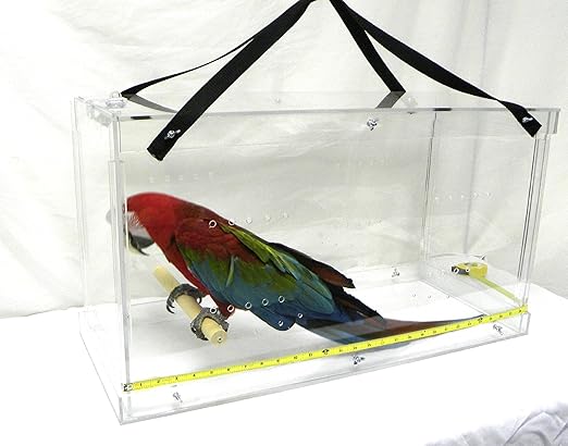 parrot carrier