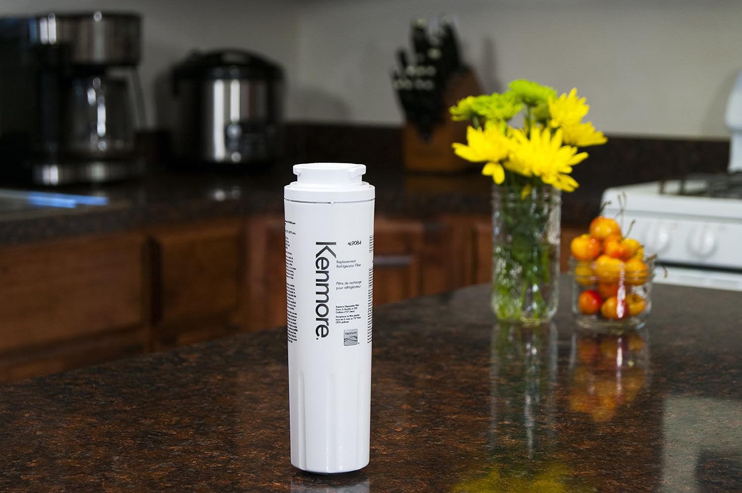 Kenmore 9084 9084 Refrigerator Water Filter, white: Home Improvement
