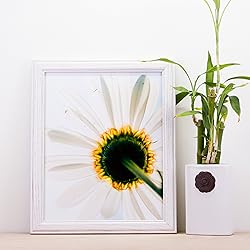 Craig Frames Wiltshire 236, Simple White Hardwood