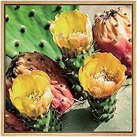 SIGNWIN Framed Canvas Wall Art Eastern Prickly Pear Cactus with Yellow, Orange Flowers Botanical Succulent Photography Realism Modern Closeup Fun for Living Room, Bedroom, Office - 16x16 inches