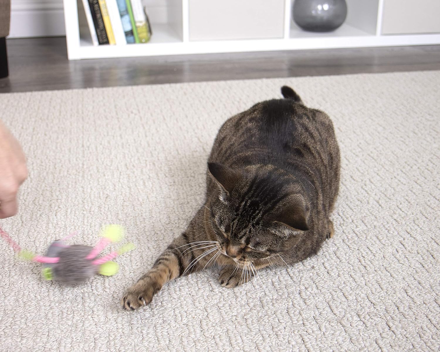 SmartyKat Bouncy Mouse Cat Toy Bungee Toy : Pet Mice And Animal Toys : Pet Supplies