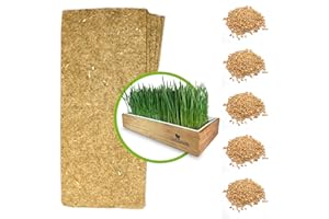 ZESTIGREENS Organic Wheatgrass Self Watering Kit Refill Mats & Seeds for 5 Crops. (Refill Kits)
