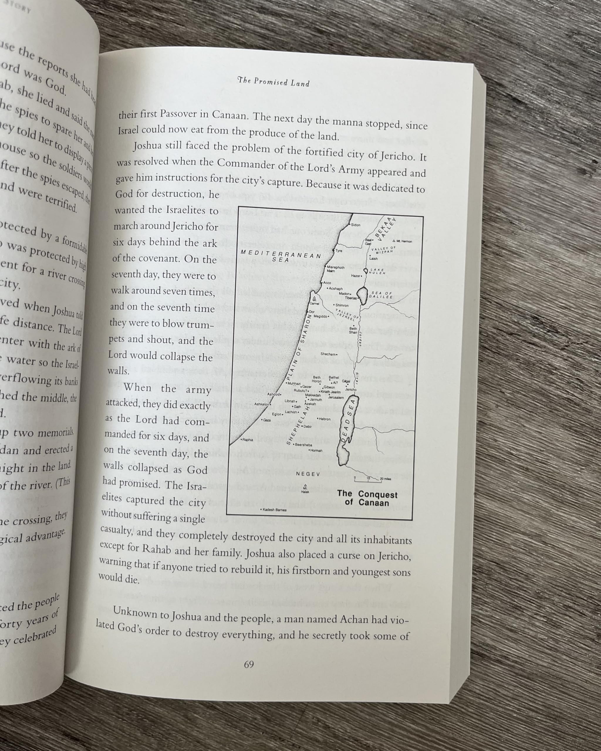 The Whole Bible Story: Everything That Happens in the Bible in Plain English (A Chronological Recap for Understanding the Bible―Stories of the Bible and Bible Study for Adults)