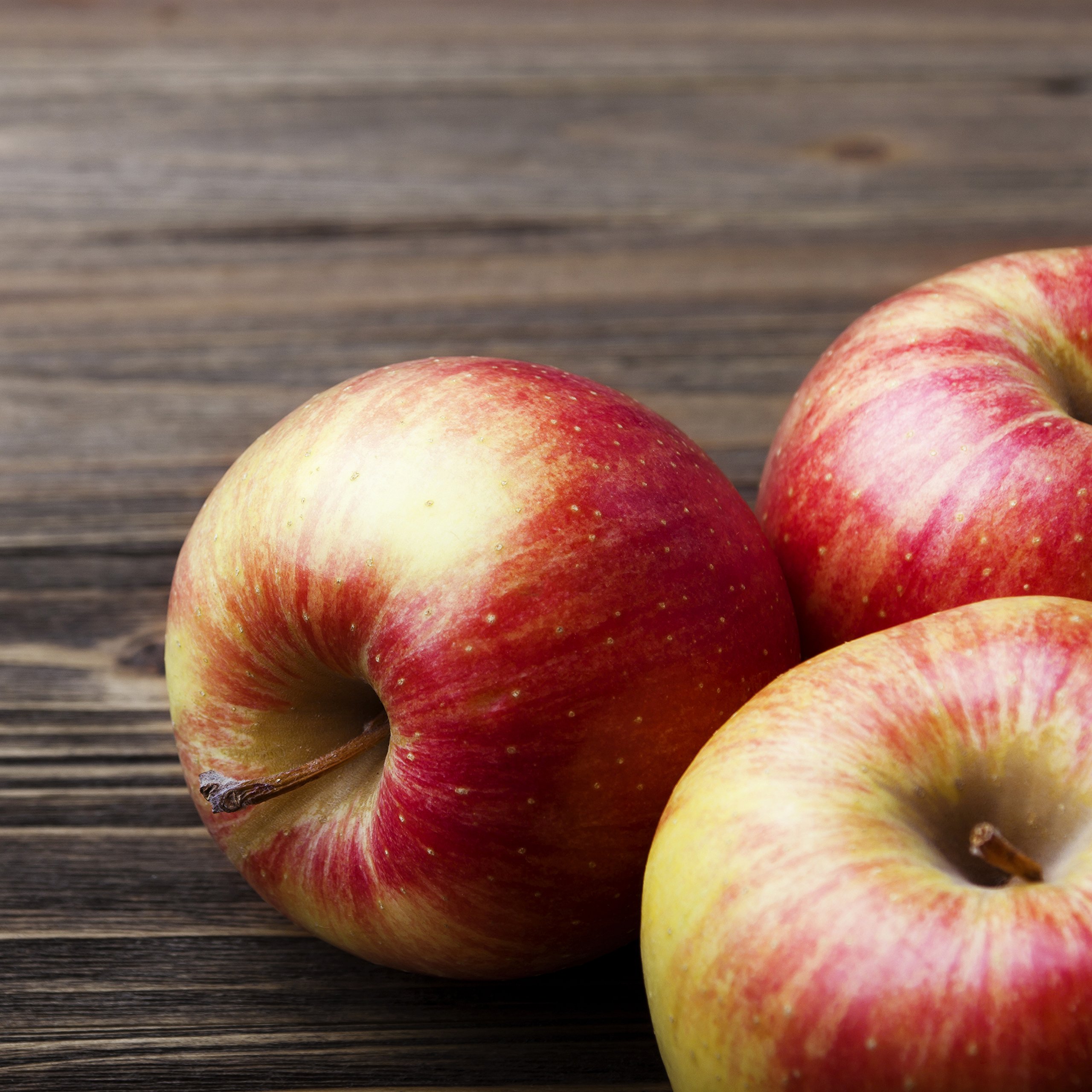 Augason Farms Dehydrated Apple Slices Certified Gluten Free Long Term Food Storage Large No. 10