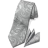TaecMin Tie Set Ties for Men Paisley Neckties and Pocket Squares Set with Flower Lapel Pins for Weddings