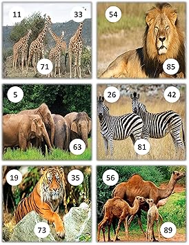 Feliz Animals Theme Tambola Tickets Set of 24 (housie Tickets)