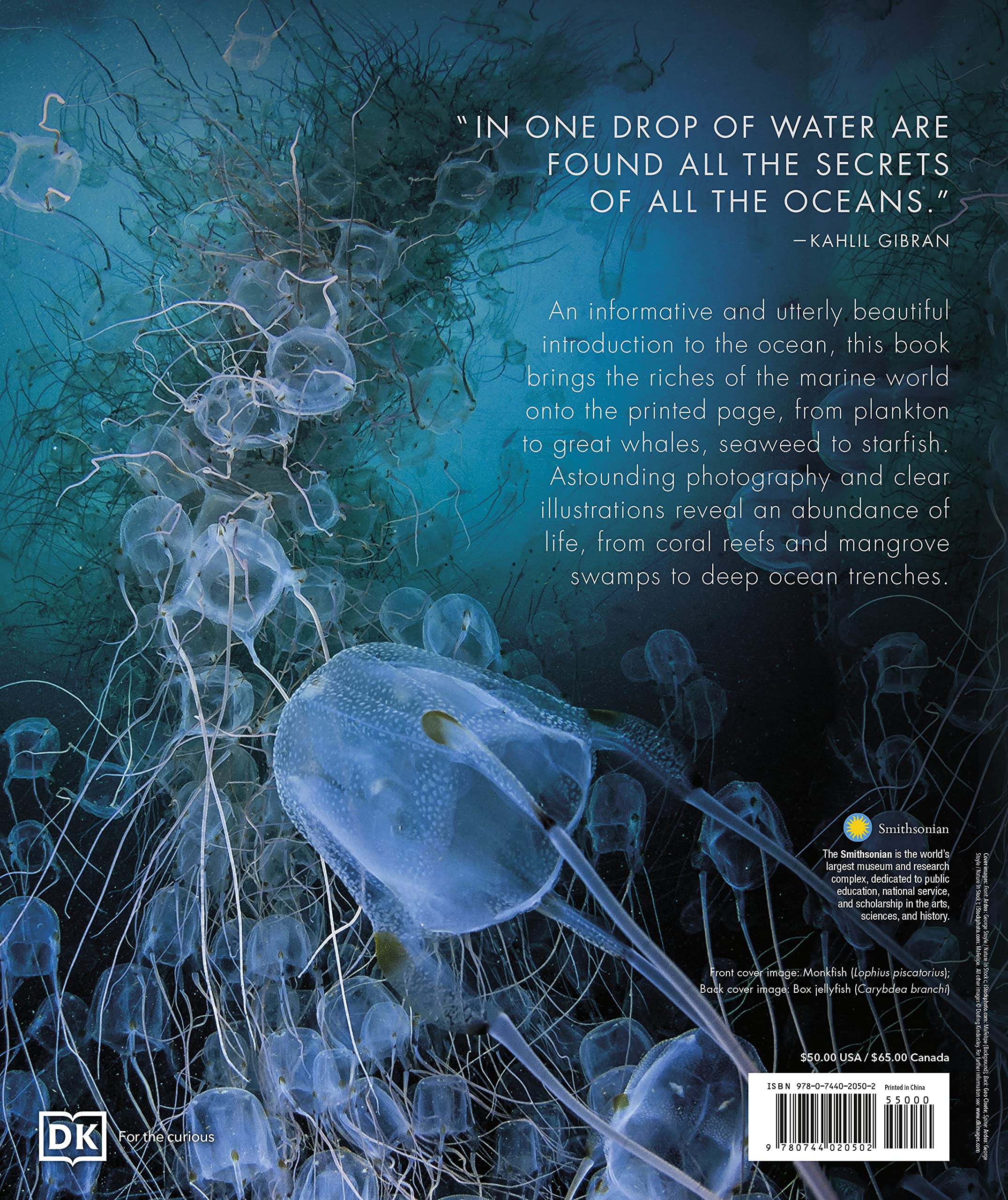 Oceanology: The Secrets of the Sea Revealed (DK Secret World Encyclopedias)