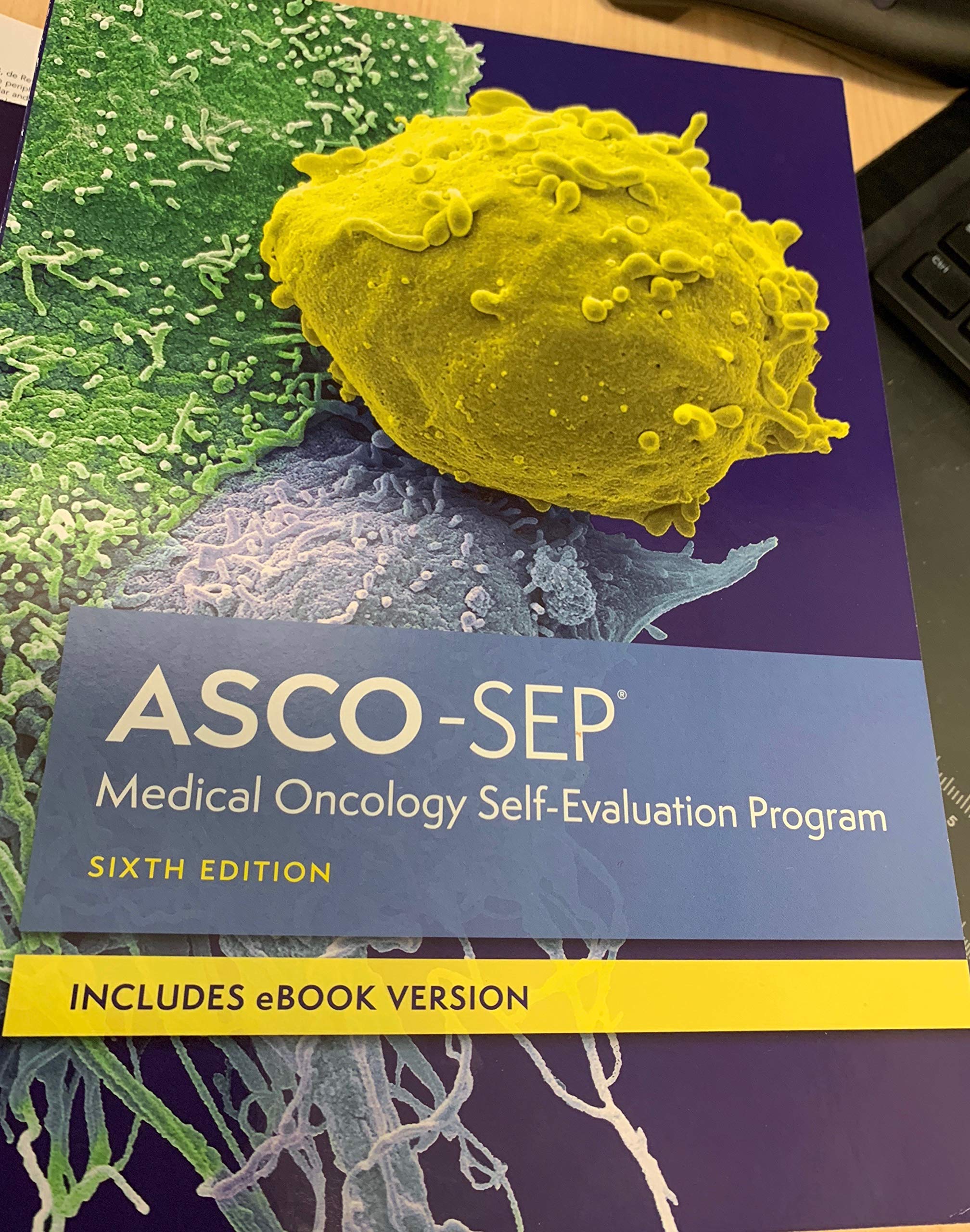 Asco Sep Medical Oncology Self Evaluation Program Sixth Edition Asco University 9780998374741 Amazon Com Books