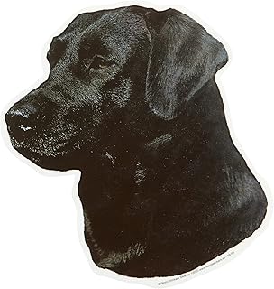 Danisch Schwedischer Hofhund Aufkleber Gross Amazon De Haustier