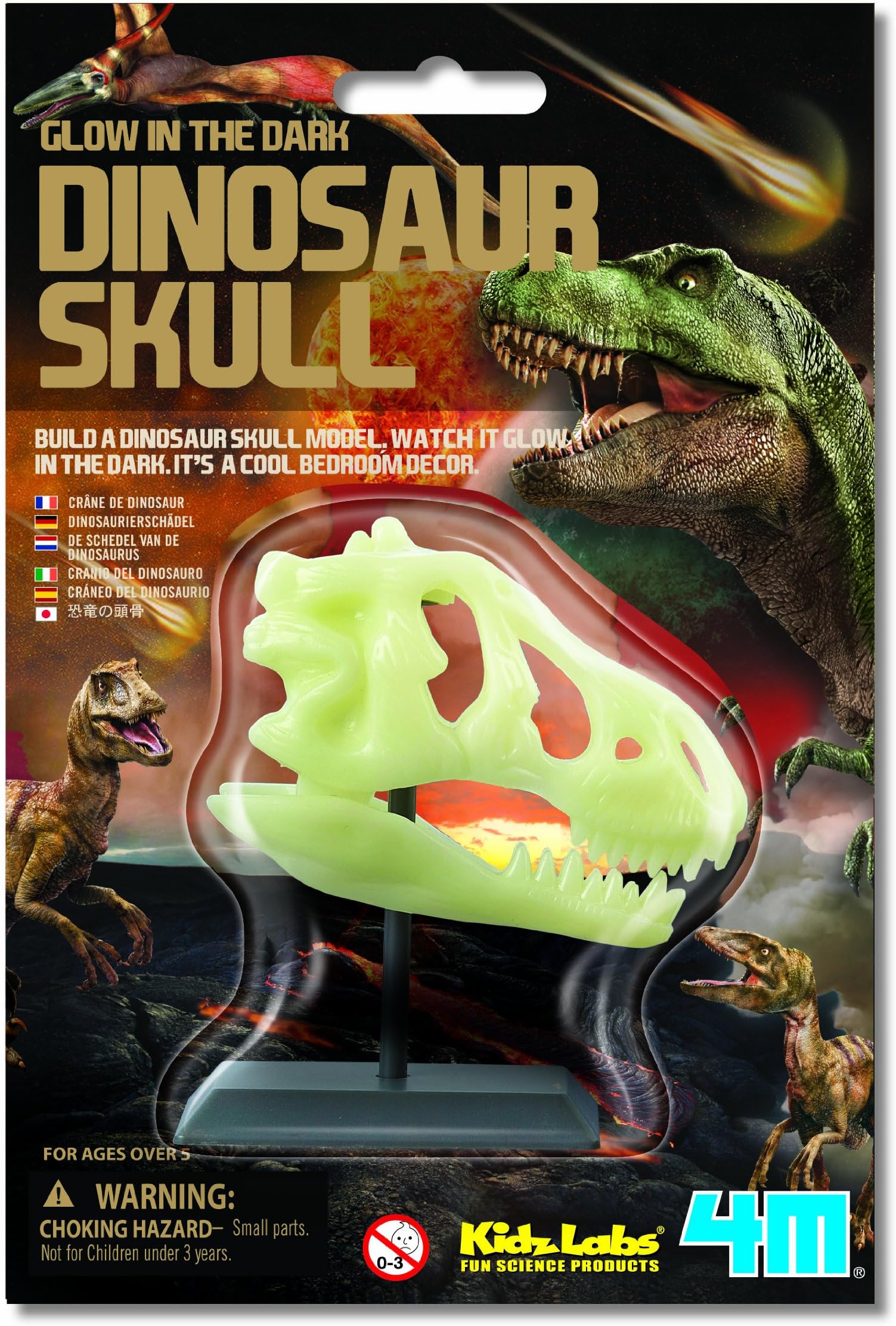 4M Glow in the Dark Dinosaur Skull