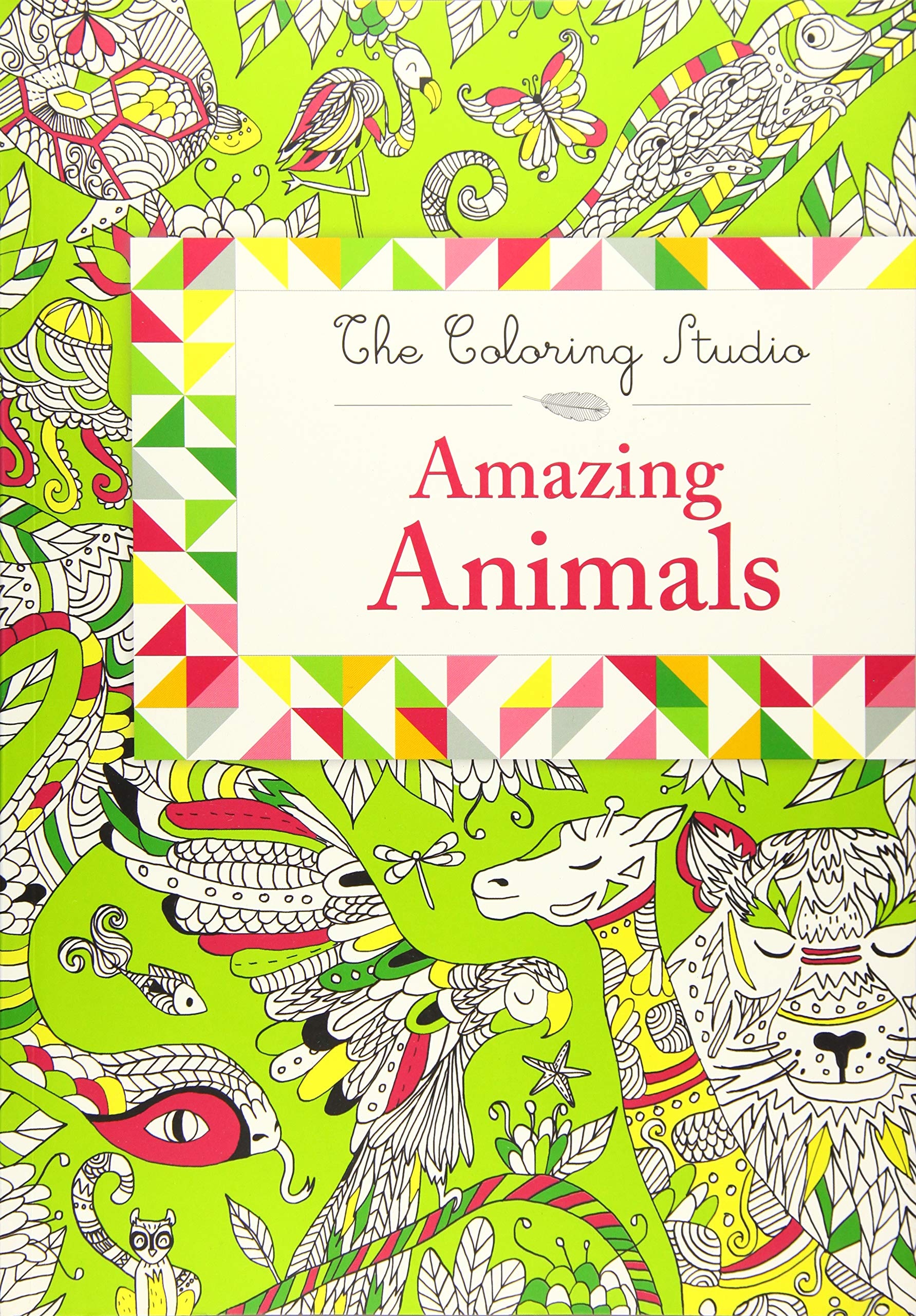 Download Amazing Animals The Coloring Studio 2 Andriamanga Faratiana 9780316392884 Amazon Com Books
