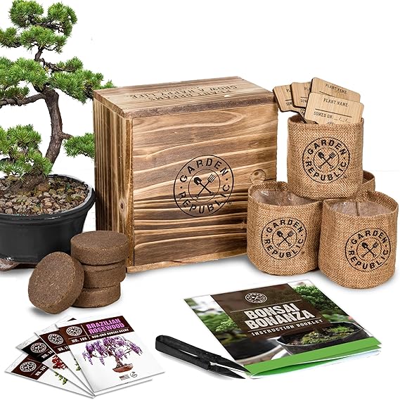 Amazon.com : Bonsai Tree Seed Starter Kit - Mini Bonsai Plant Growing Kit, 4 Types of Seeds, Potting Soil, Pots, Pruning Shears Scissor Tool, Plant Markers, Wood Gift Box, Indoor Garden Gardening Amazon.com : Bonsai Tree Seed Starter Kit - Mini Bonsai Plant Growing Kit, 4 Types of Seeds, Potting Soil, Pots, Pruning Shears Scissor Tool, Plant Markers, Wood Gift Box, Indoor Garden Gardening
