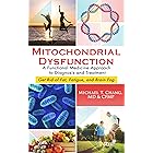 MITOCHONDRIAL DYSFUNCTION: A Functional Medicine Approach to Diagnosis and Treatment: Get Rid of Fat, Fatigue, and Brain Fog