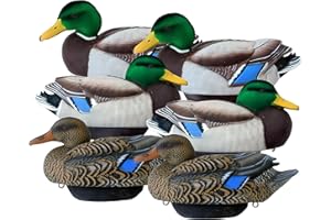 LIFETIME DECOYS Flocked Mallard Duck Decoys by Heyday – Ultra-Light 100% HydroFoam | Durable, Realistic Flocked Design | 6 Pack of Duck Hunting Decoys