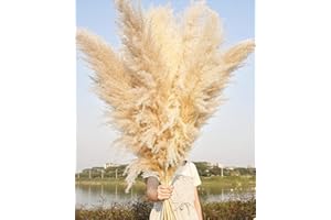 NAUNAUYA 10 Stems 46" inch Dried Pampas Grass Decor Tall, Large Pompas Grass, Boho Neutral Home Decor Bouquet, Fluffy Pampass Grass for Floor Vase Wedding Floral Arrangements Wall Farmhouse Table Decor