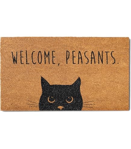Amazon.com: UINI Door Mat Outdoor Indoor Welcome Mats, Cute Cat