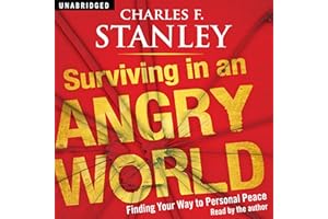 Surviving in an Angry World: Finding Your Way to Personal Peace