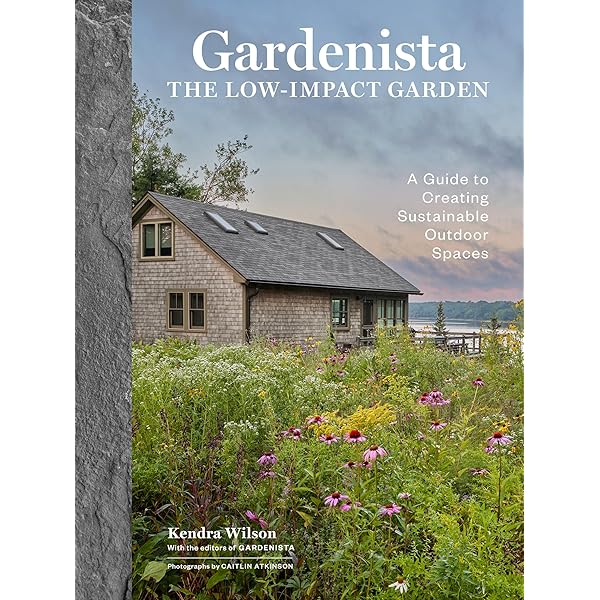 Suburban Space: The Fabric of Dwelling: Chow, Renee: 9780520233867