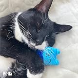 Rosewood Battersea Pack of 3 Cat Toys Plush Catnip Infused UK Charity view 4