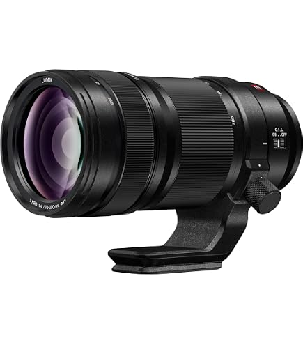 Amazon.com : Panasonic LUMIX S PRO 70-200mm F2.8 Telephoto Lens