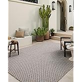 Loloi Amber Lewis Topanga Collection TOP-02 Natural/Silver 7'-10" x 10' Indoor/Outdoor Area Rug