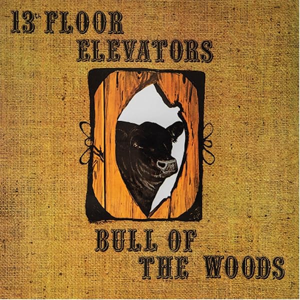 The 13th Floor Elevators　レコード The 13th Floor Elevators - Houston Music Theatre, Live 1967